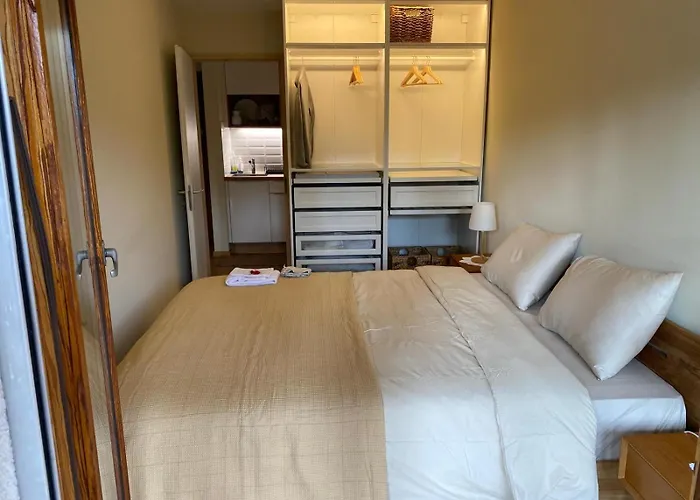 アパート Appartement Crans-Montana